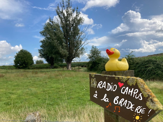 Canard vers la braderie